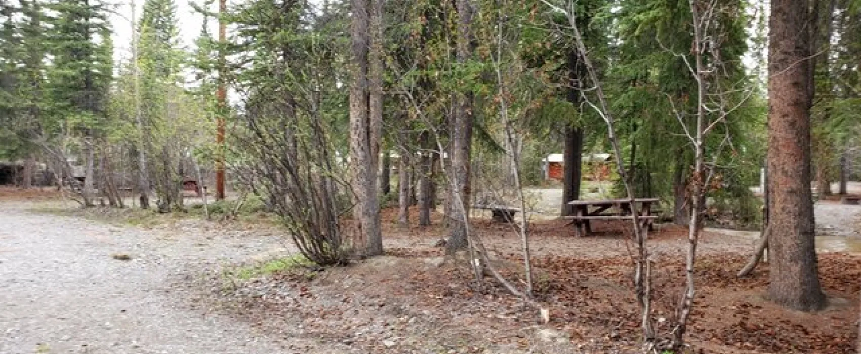 Tolsona Wilderness Campground