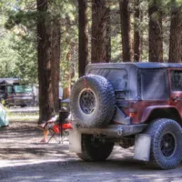 mammoth-mountain-rv-park-mammoth-lakes-txm2m