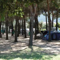 eden-park-torricella-v4vbe