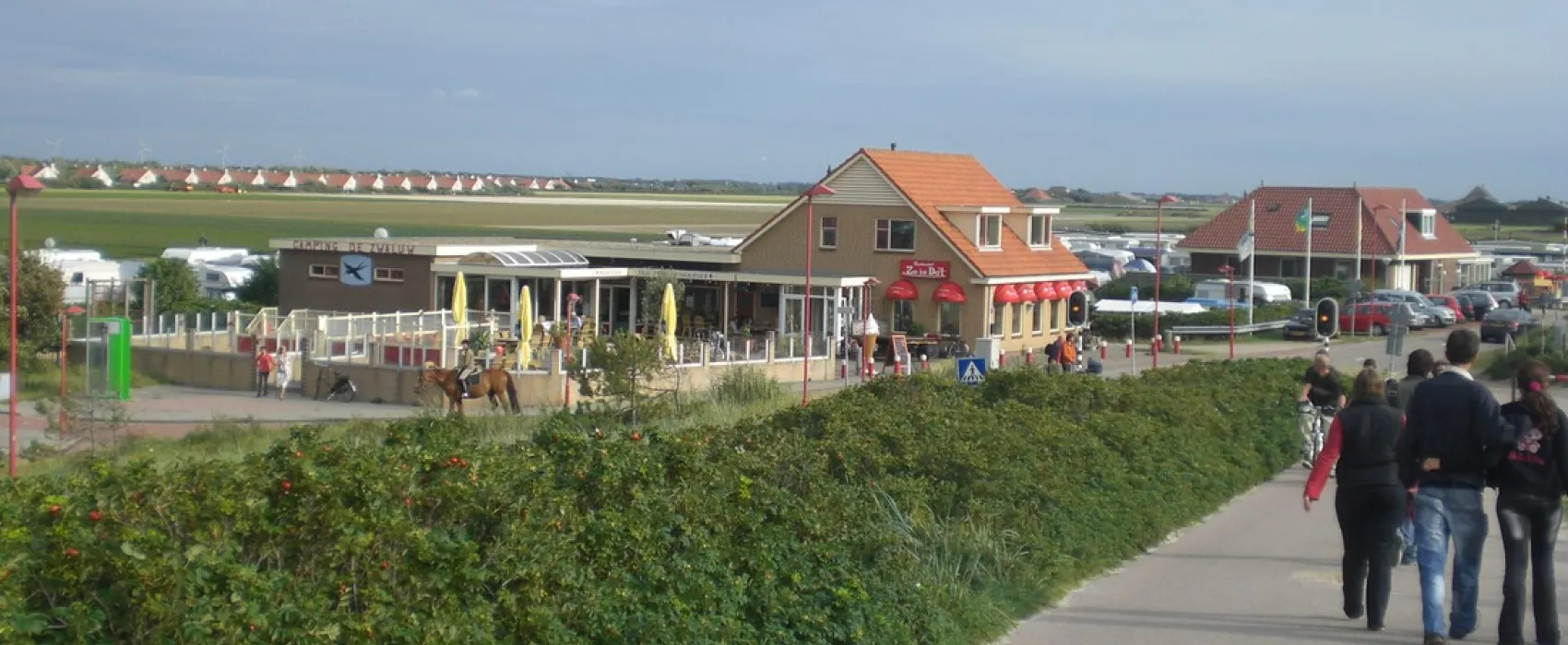 De Zwaluw