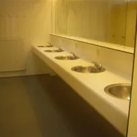 De Zwaluw