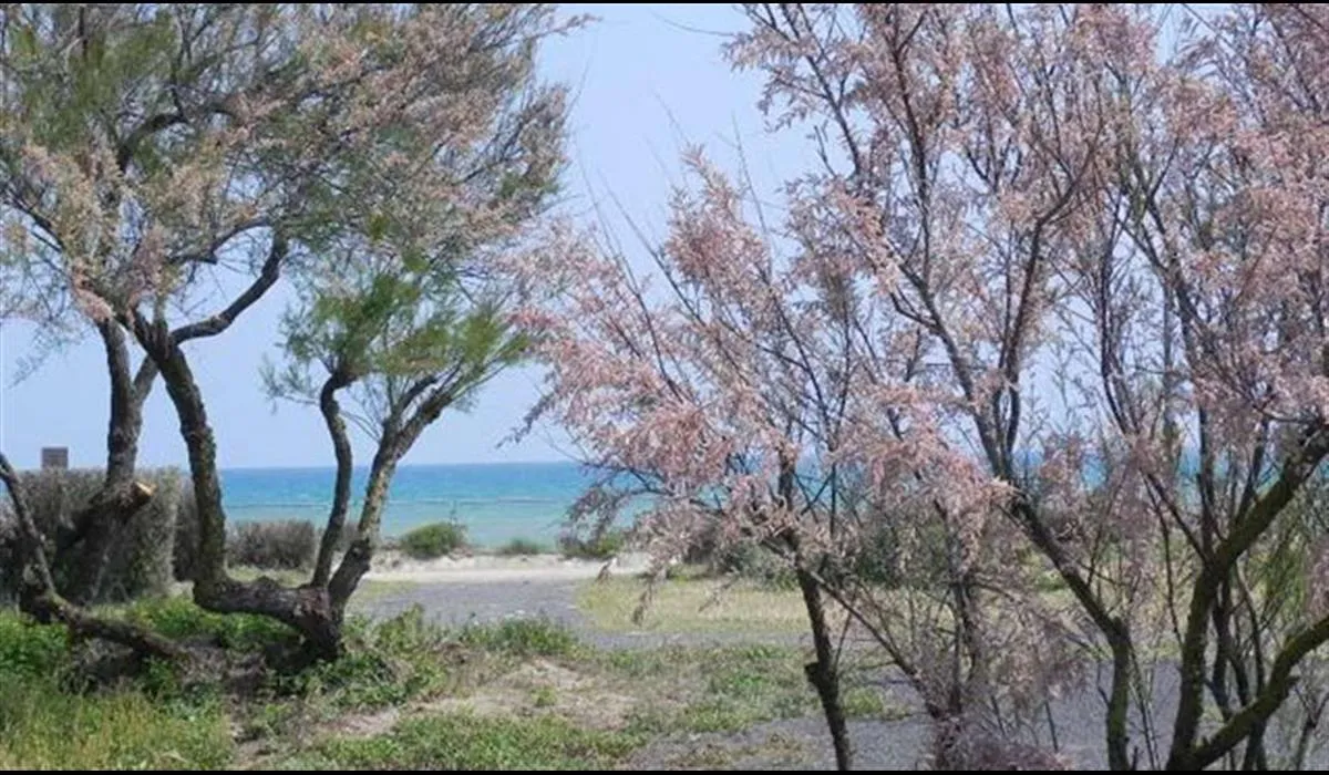 europ-2000-marseillan-plage-p8fzz