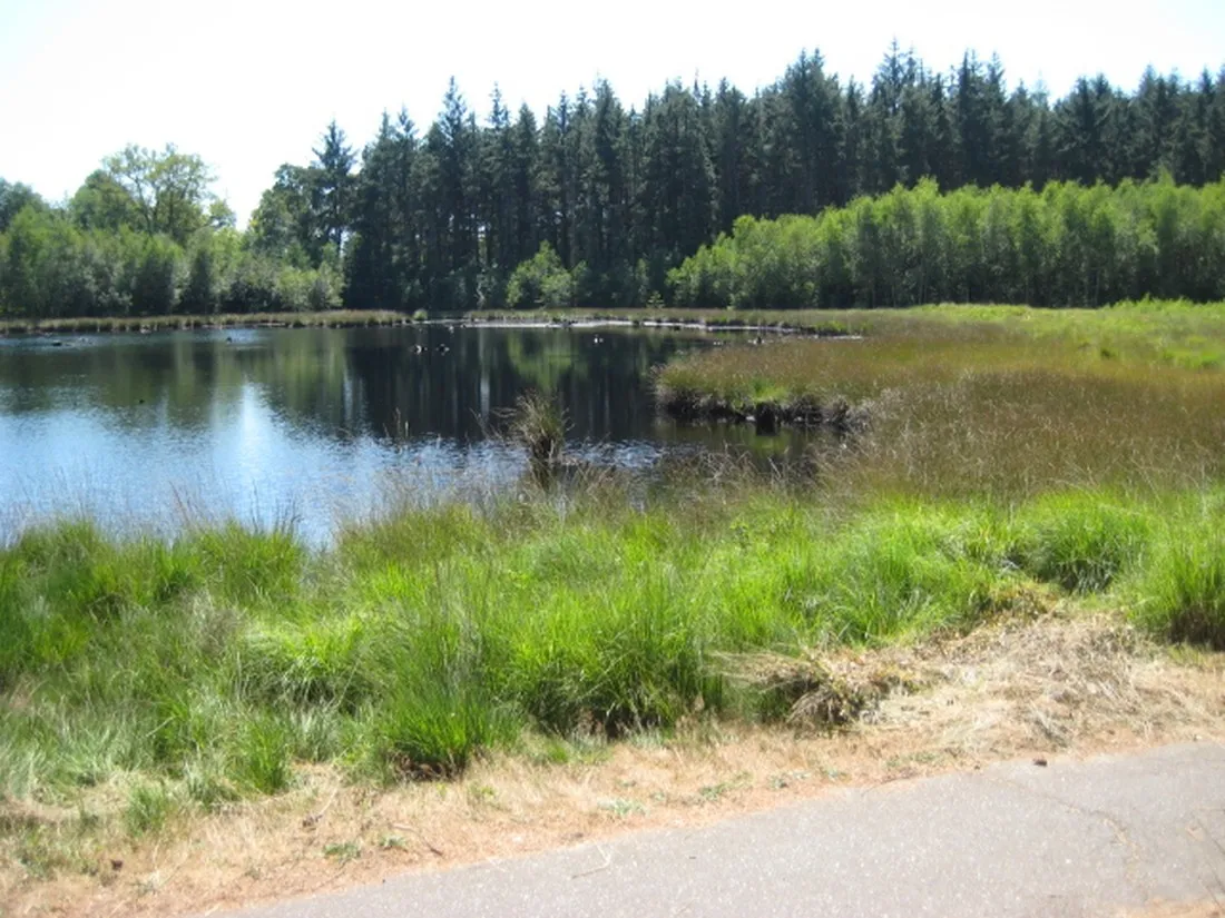 de-sieghorst-siegerswoude-vimj0