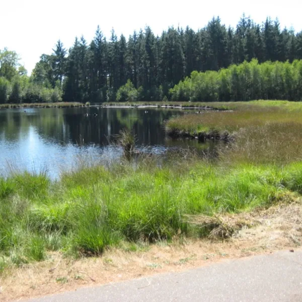 de-sieghorst-siegerswoude-vimj0