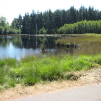 de-sieghorst-siegerswoude-vimj0