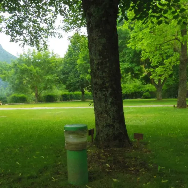 camping-municipal-les-vigneaux-entraigues-lbs2z