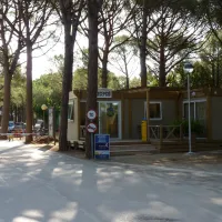 neptuno-bungalows-platja-de-pals-playa-de-pals-0fqr8