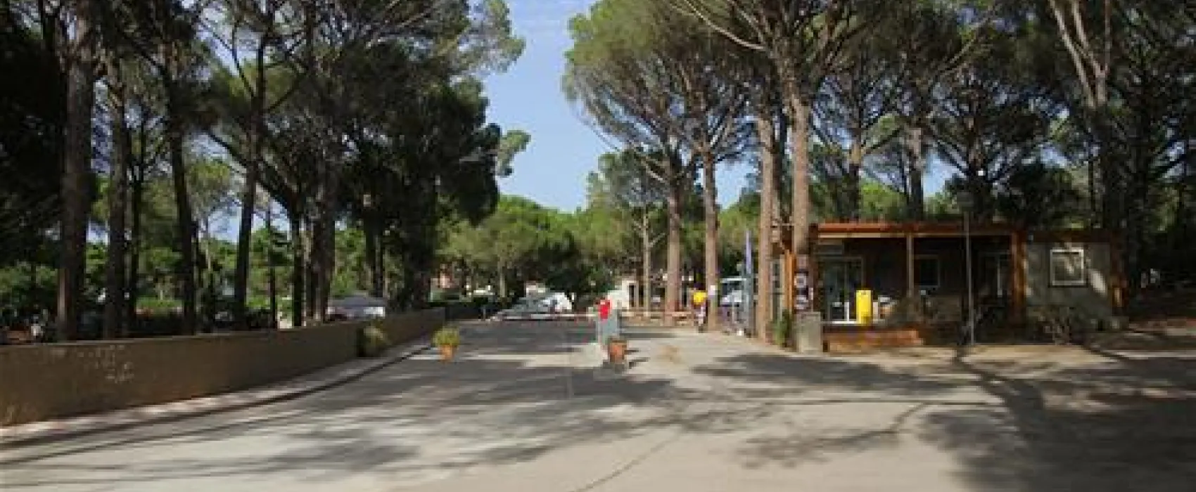 Neptuno (+ bungalows)