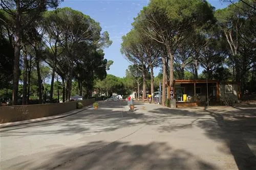 neptuno-bungalows-platja-de-pals-playa-de-pals-hetap