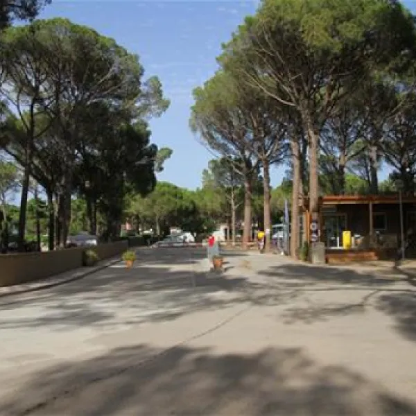 neptuno-bungalows-platja-de-pals-playa-de-pals-hetap