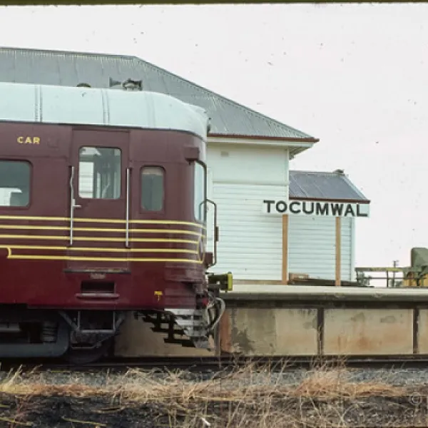 tocomwal-main-beach-campground-tocumwal-osfgp