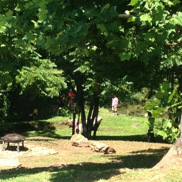 Byrd's Branch Campground