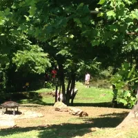 byrds-branch-campground-elkin-b4b7d