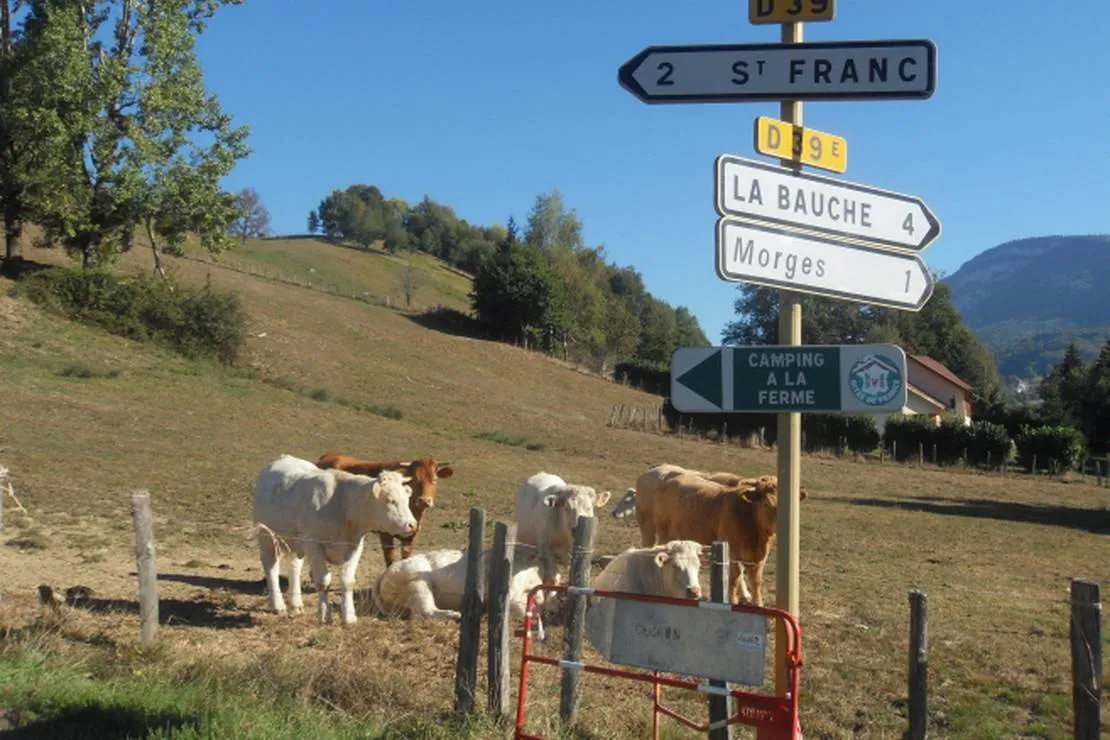 camping-du-bois-de-la-teppe-a-saint-franc-st-franc-3te1f