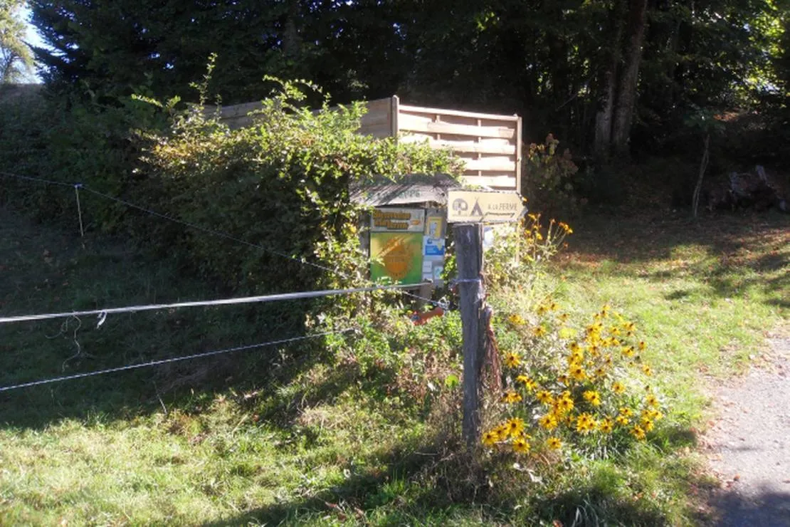 camping-du-bois-de-la-teppe-a-saint-franc-st-franc-p7kbw