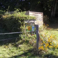 camping-du-bois-de-la-teppe-a-saint-franc-st-franc-p7kbw