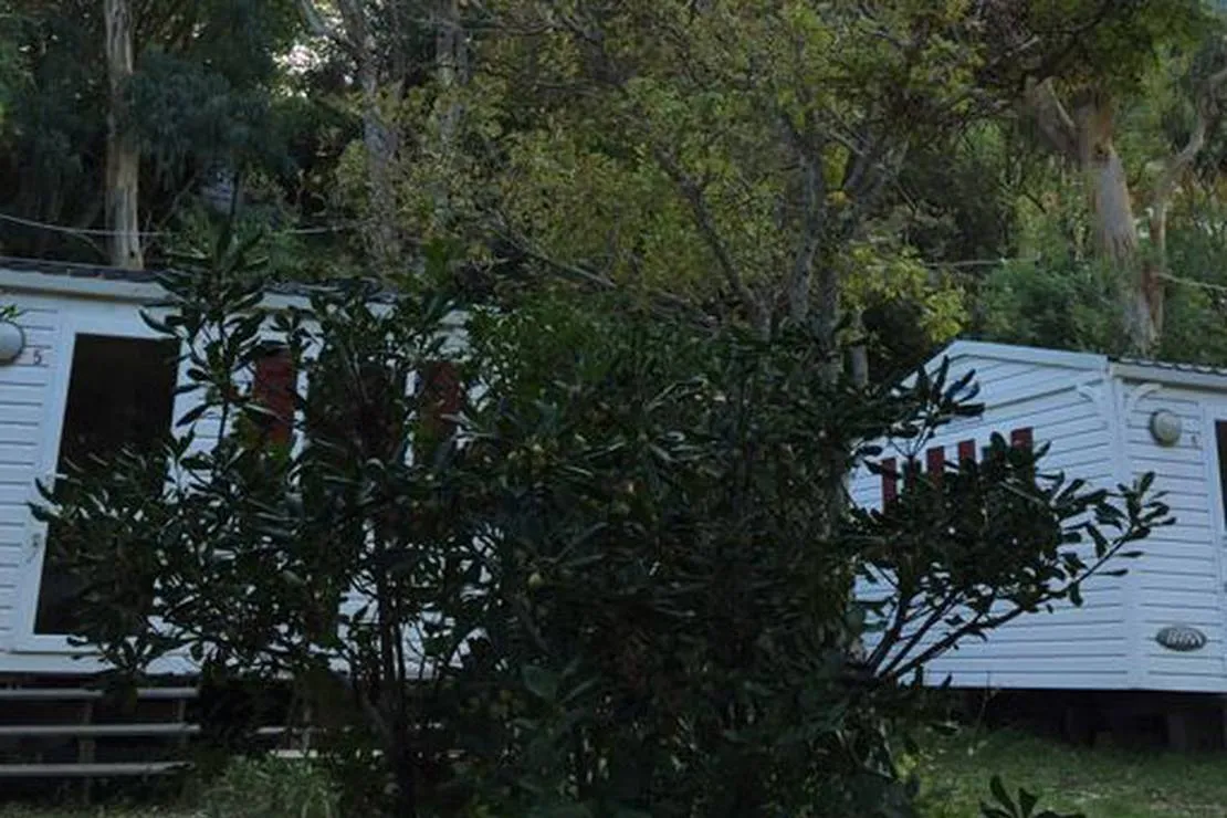 camping-les-orangers-san-martino-di-lota-0x3ni