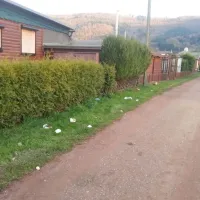 Mehringer Schweiz