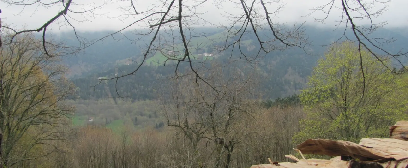 Lieu - Dit Im Berg