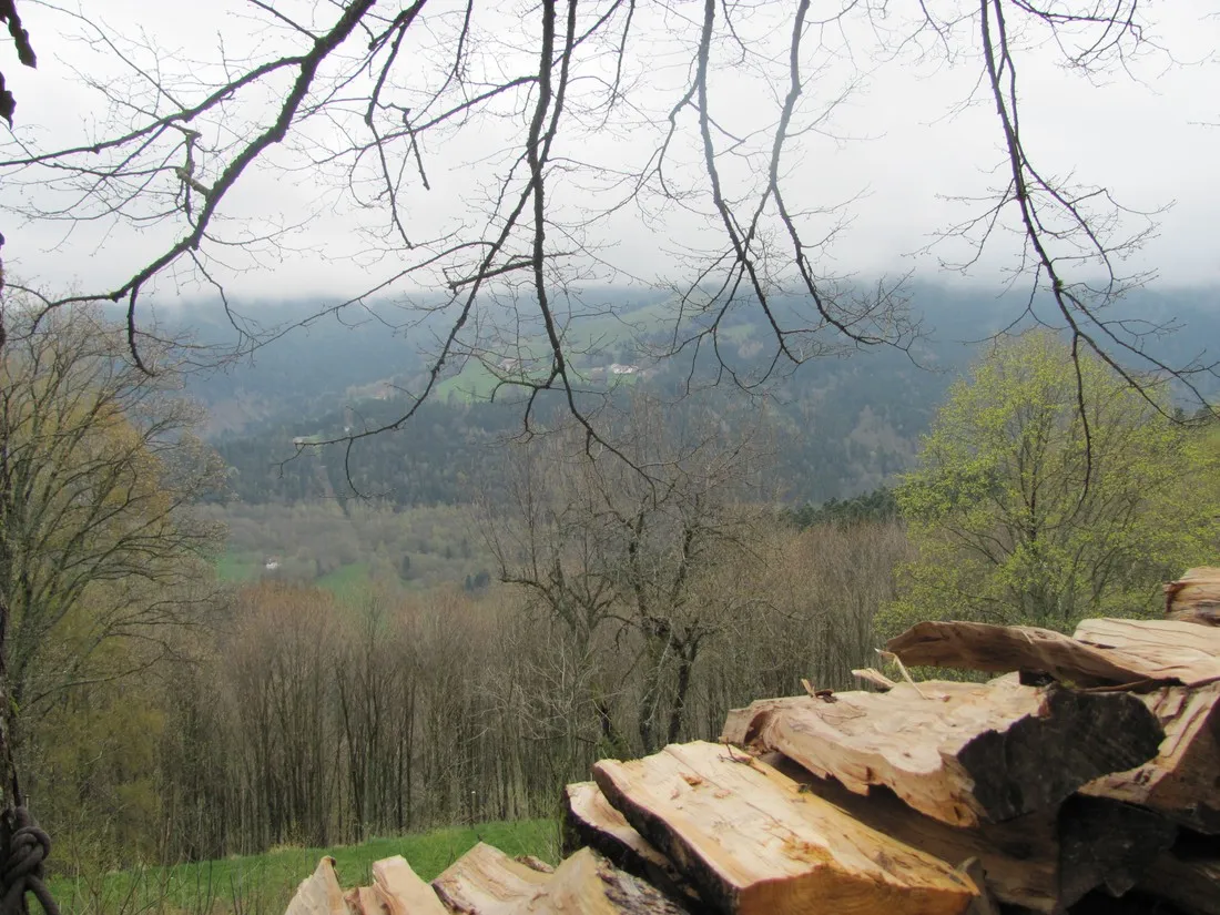 lieu-dit-im-berg-sondernach-3fu3w