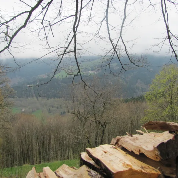 lieu-dit-im-berg-sondernach-3fu3w