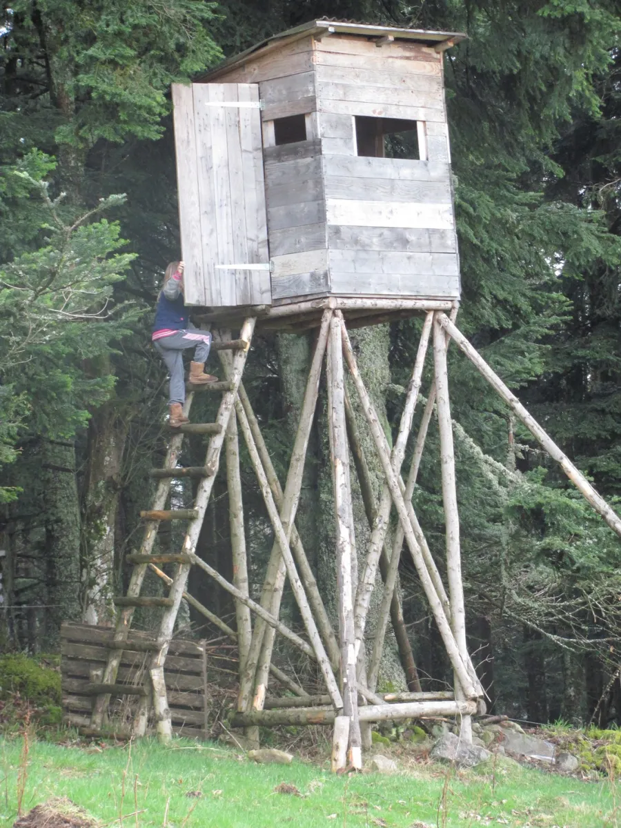 lieu-dit-im-berg-sondernach-n22vp