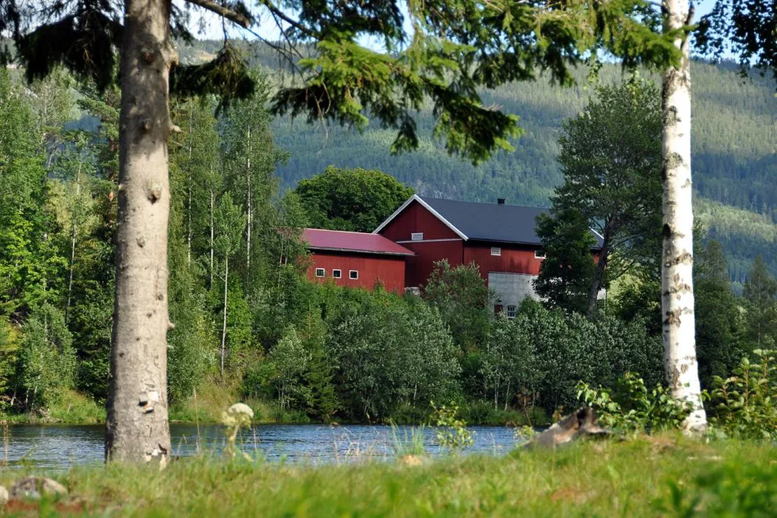 holman-camping-rollag-yyiw9