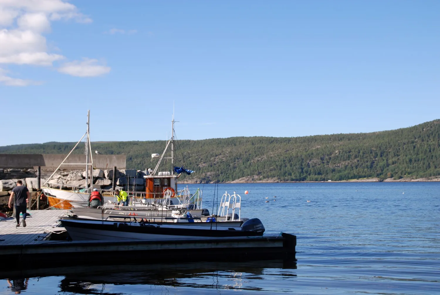 bjorkvik-hytteutleie-og-camping-rakvag-0zkpq