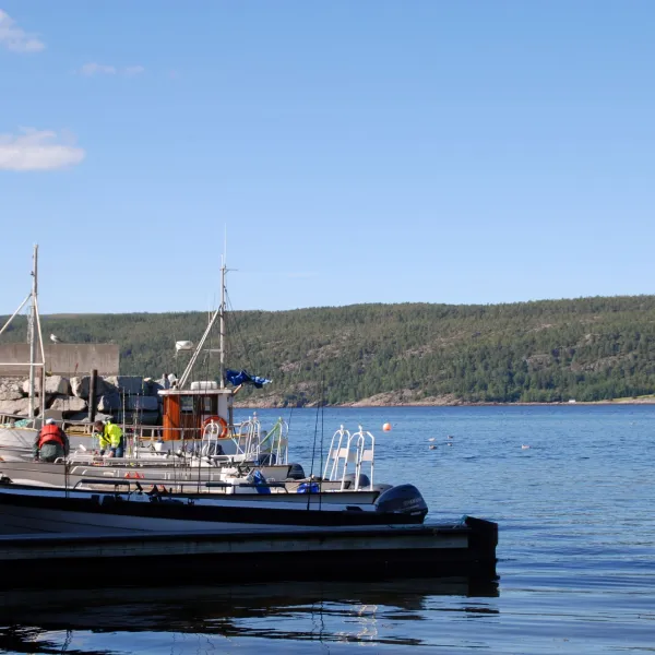bjorkvik-hytteutleie-og-camping-rakvag-0zkpq