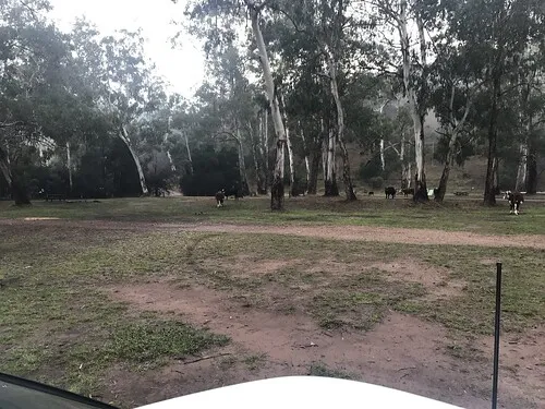 pickerings-campground-lbsza