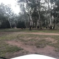 pickerings-campground-lbsza