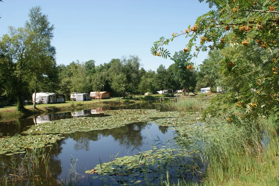 natuurkampeerterrein-de-meenthe-noordwolde-pnyvz