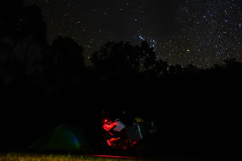 bummaroo-ford-campground-paling-yards-q8n5p
