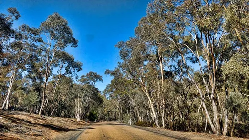 bummaroo-ford-campground-paling-yards-qgwgf