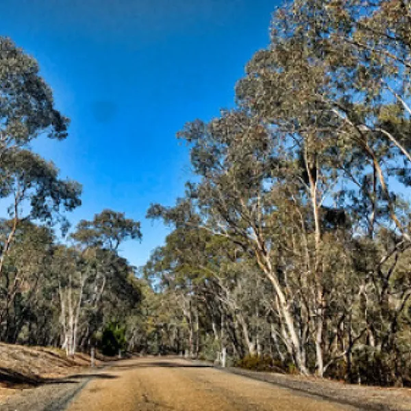 bummaroo-ford-campground-paling-yards-qgwgf