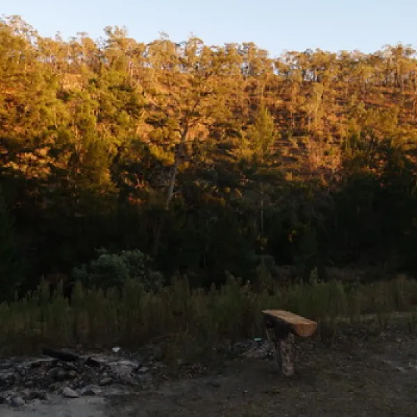 bummaroo-ford-campground-paling-yards-x6hji