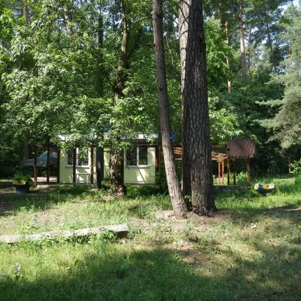 camping-prolisok-kiew-oakkd