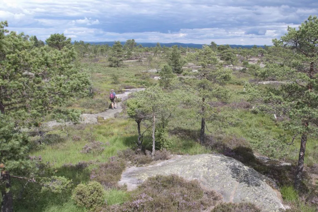 bjonndalen-camp-ovrebo-imaqs