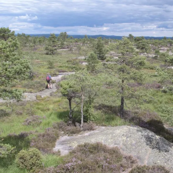 bjonndalen-camp-ovrebo-imaqs