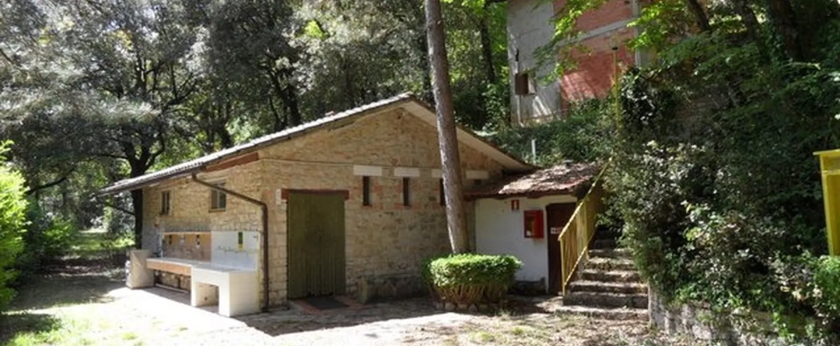 Paradis d'Ete