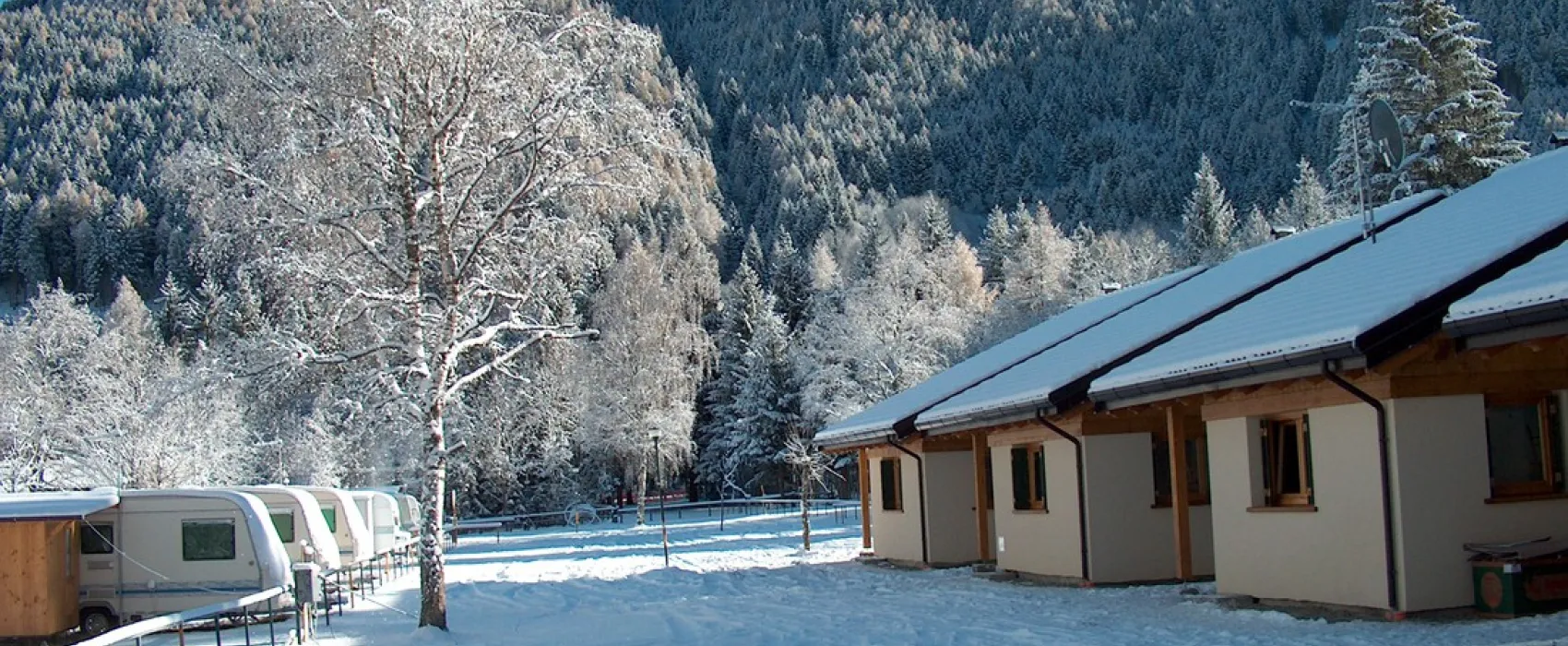 Presanella