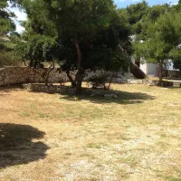 camp-kosljun-pag-l8v54