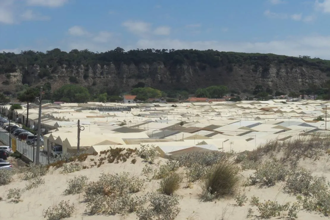parque-de-campismo-do-piedense-costa-de-caparica-dniki