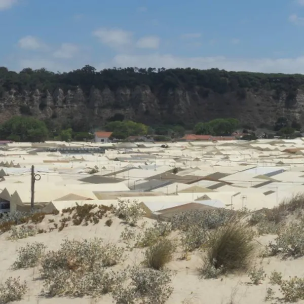 parque-de-campismo-do-piedense-costa-de-caparica-dniki