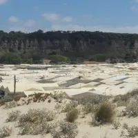 parque-de-campismo-do-piedense-costa-de-caparica-dniki