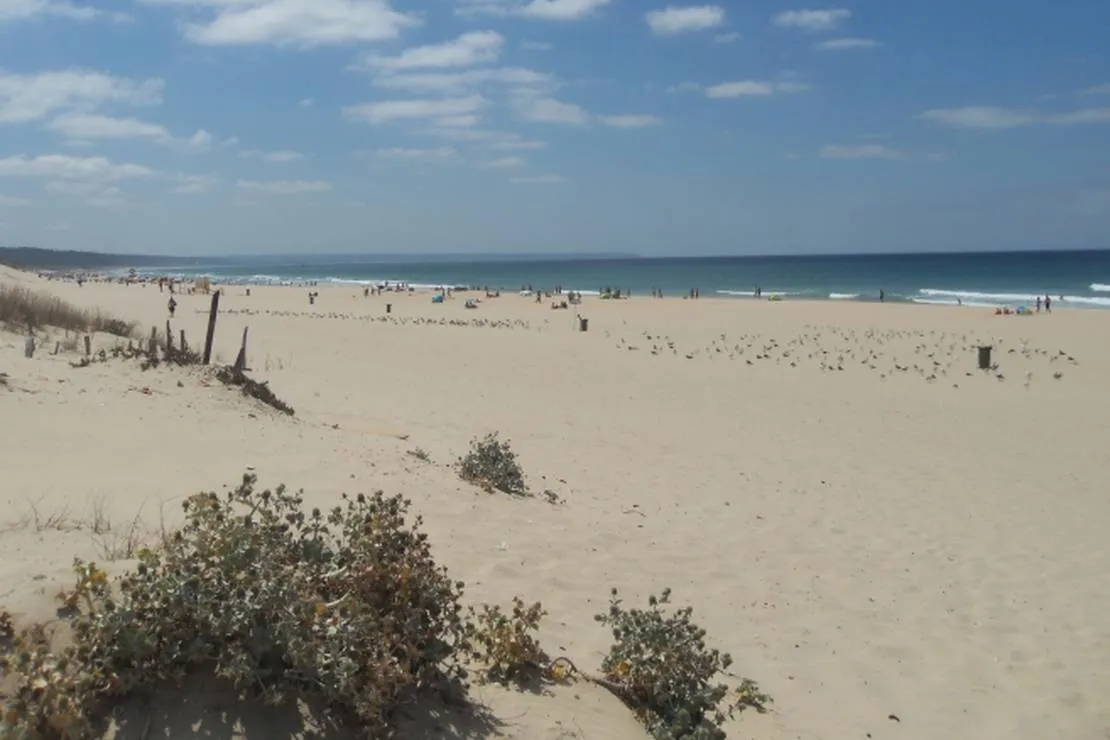 parque-de-campismo-do-piedense-costa-de-caparica-qldlu