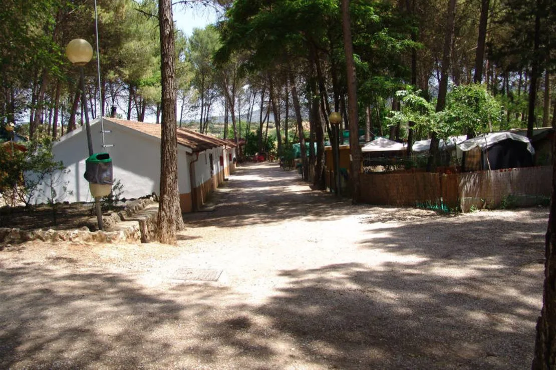 camping-sacedon-sacedon-nf7zu