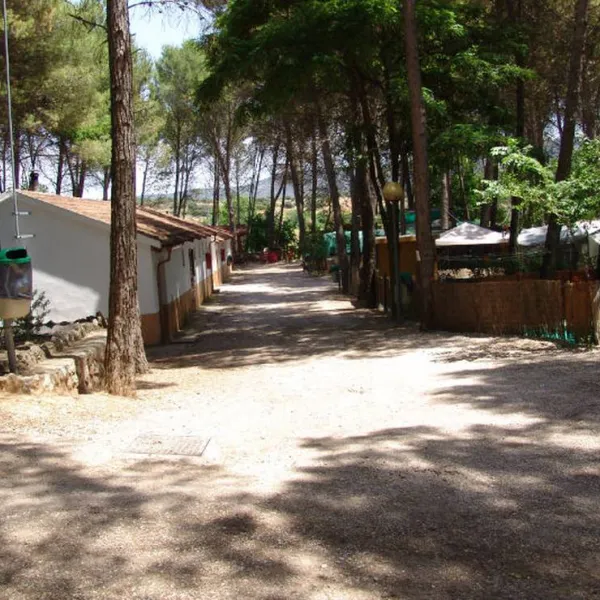 Camping Sacedón