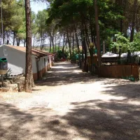 Camping Sacedón