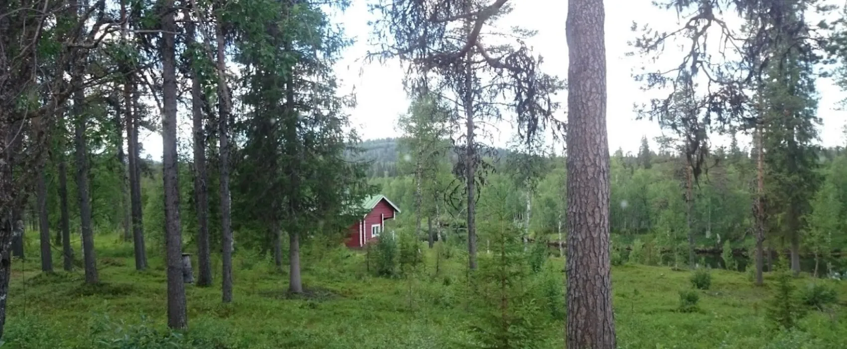 Tuntsan Pubi
